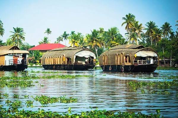 Marari Beach Cleetus Homestay Mararikulam Esterno foto
