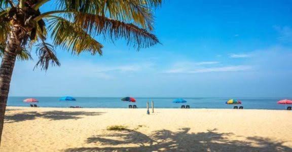 Marari Beach Cleetus Homestay Mararikulam Esterno foto